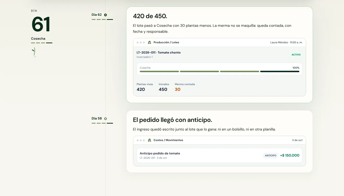 Historia de un lote contada día por día en la landing